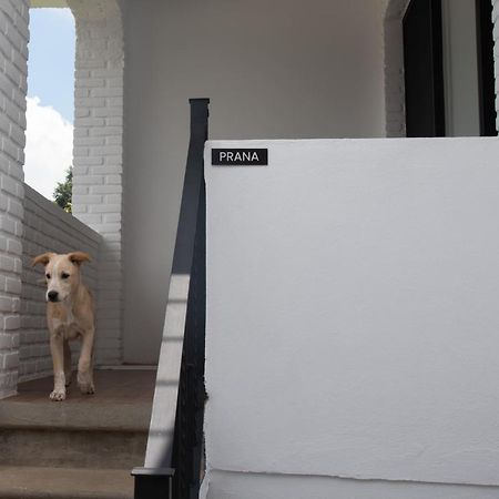Casa Naamja Hotel Tepoztlán Eksteriør billede
