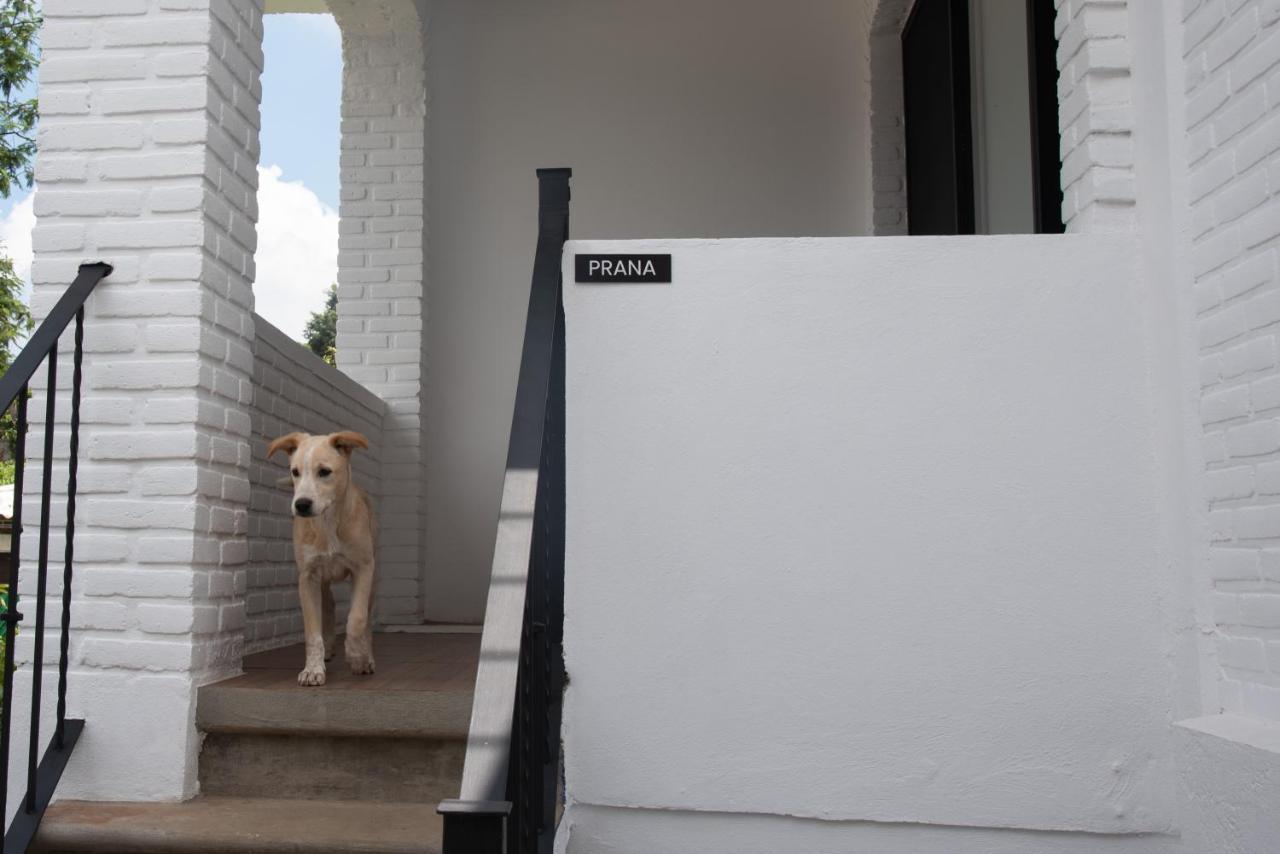 Casa Naamja Hotel Tepoztlán Eksteriør billede