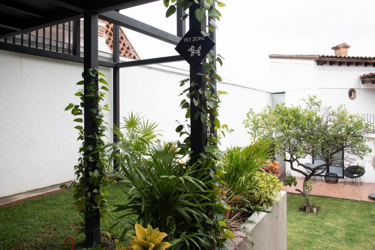 Casa Naamja Hotel Tepoztlán Eksteriør billede